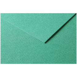 Бумага цветная №178 тёмно-зелёный, размер 50х65 см, Tulipe, 160 гр/м2, Clairefontaine, артикул 960178